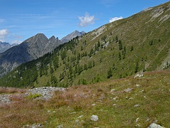 Solitamente dal Passo c'e' un'ottima vista su trittico del Sempione ma oggi non e' giornata...davanti a noi il Seehorn ..........